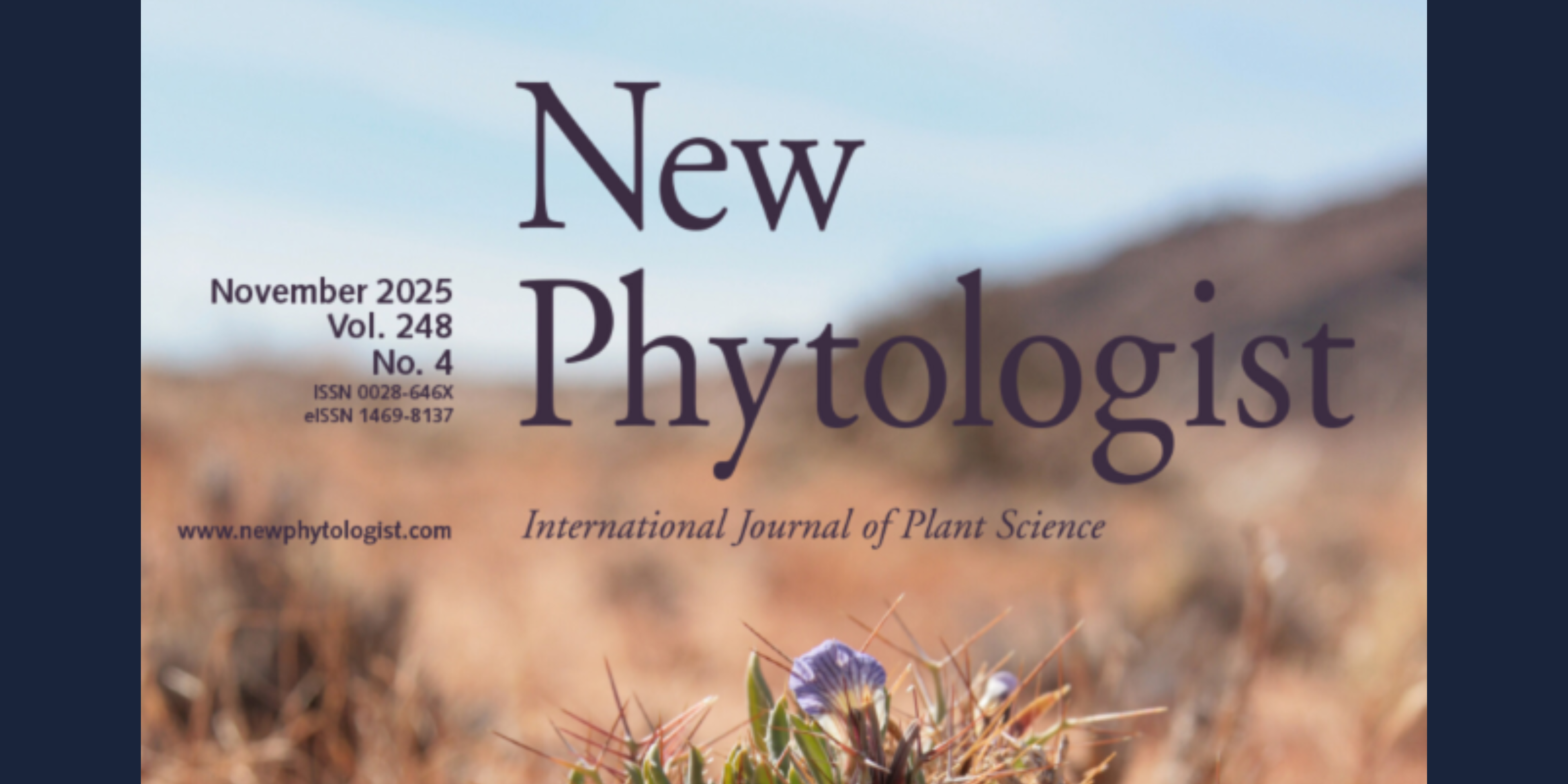 Terrestrial laser scanning. 